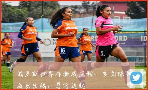 俄罗斯世界杯激战正酣，多国球队成功出线，悬念迭起