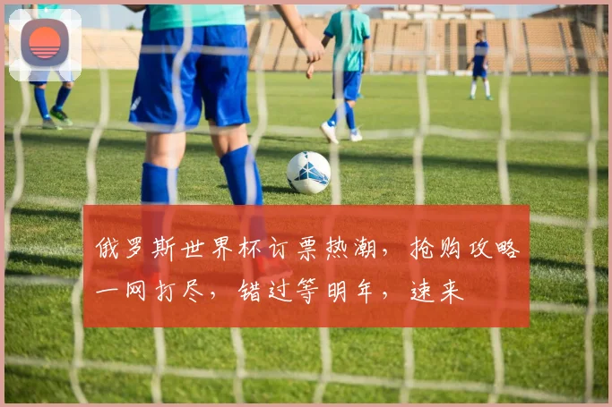 俄罗斯世界杯订票热潮，抢购攻略一网打尽，错过等明年，速来