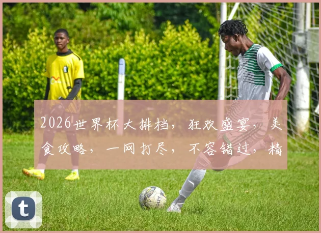 2026世界杯大排档，狂欢盛宴，美食攻略，一网打尽，不容错过，精彩纷呈