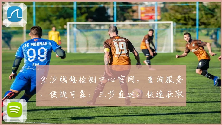 金沙线路检测中心官网，查询服务，便捷可靠，三步直达，快速获取